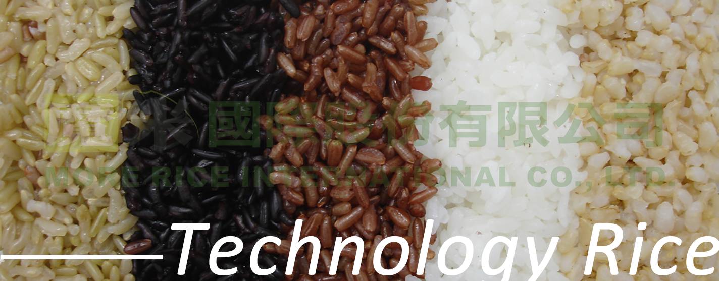 Technology rice photo